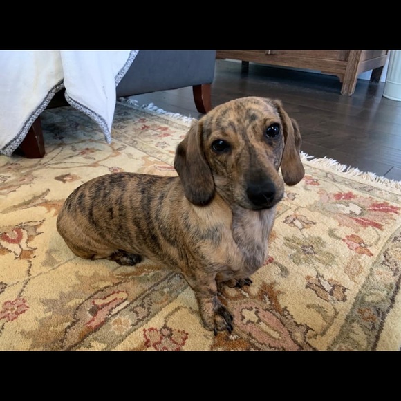 Meet your Posher, Gayle - Picture 7 of 7